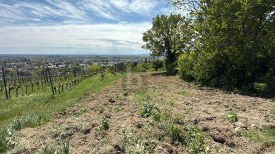 /international/at/baden-lower-austria-310108103080/