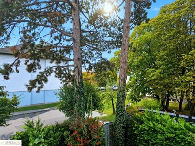 /international/at/tulln-an-der-donau-lower-austria-310120642536/