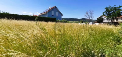 /international/at/donnerskirchen-burgenland-310100875859/?lang=it