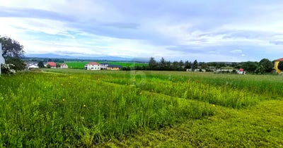 /international/at/hornstein-burgenland-310100874301/?lang=zh-tw
