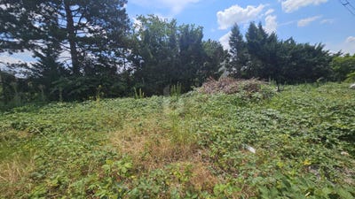 /international/at/bisamberg-lower-austria-310120676228/