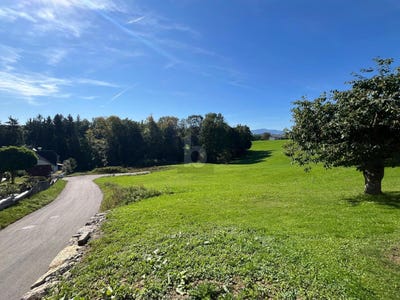 /international/at/steyr-upper-austria-310109170317/