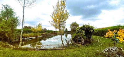 /international/at/oslip-burgenland-310120429878/