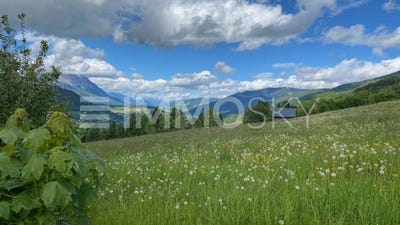 /international/at/aich-styria-310100665197/?lang=zh-tw