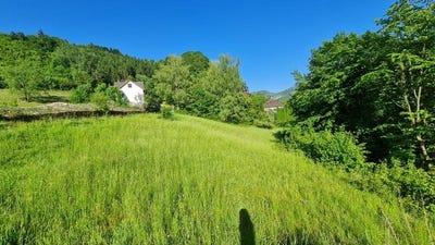 /international/at/losenstein-upper-austria-310108102374/