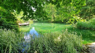 /international/at/ybbsitz-lower-austria-310100958400/?lang=zh-tw