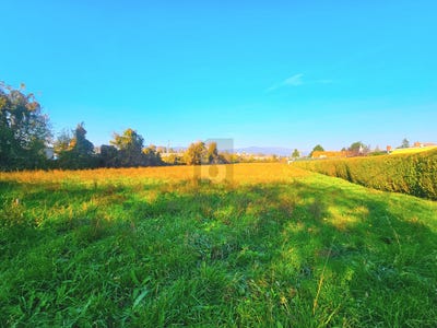 /international/at/baden-lower-austria-310108183056/