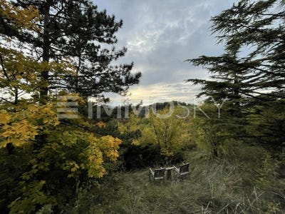 /international/at/langenzersdorf-lower-austria-310108212595/