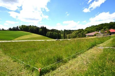 /international/at/lichtenberg-upper-austria-310108370794/