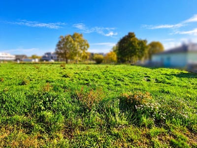 /international/at/leobendorf-lower-austria-310120706051/
