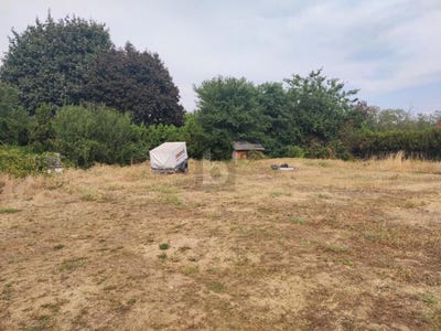 /international/at/ganserndorf-lower-austria-310120433485/