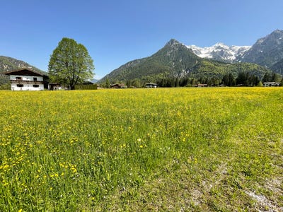 /international/at/sankt-ulrich-am-pillersee-tyrol-310103456509/