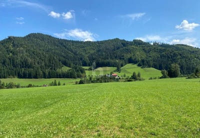 /international/at/weyer-upper-austria-310120491600/