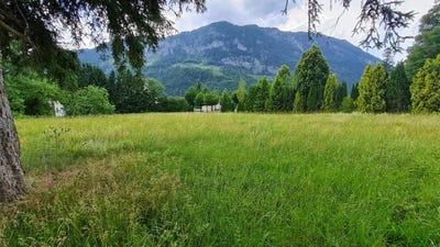 /international/at/spital-am-pyhrn-upper-austria-310107901590/