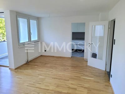 /international/at/wels-upper-austria-310108920799/