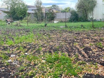 /international/at/gols-burgenland-310120477911/