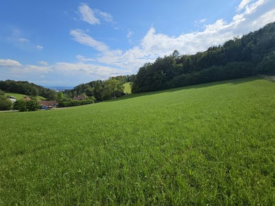 /international/at/altlichtenberg-altlichtenberg-upper-austria-310106424993/