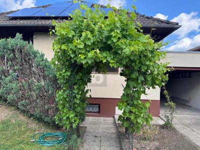 /international/at/gerasdorf-bei-wien-lower-austria-310108891801/