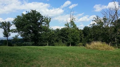 /international/at/wilfersdorf-lower-austria-310120503229/