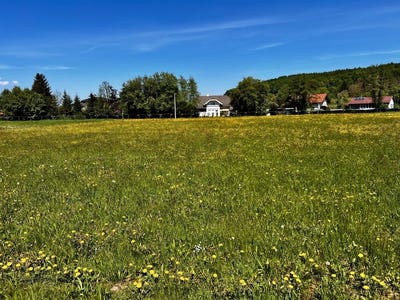 /international/at/attnang-puchheim-upper-austria-310120541468/