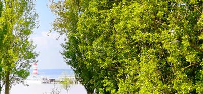 /international/at/podersdorf-am-see-burgenland-310108401660/