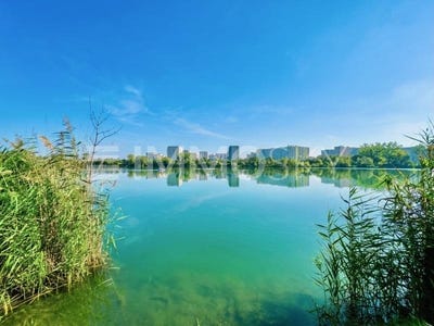 /international/at/wien-vienna-310108589040/