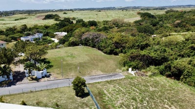 /international/bb/lot-28-moncrieffe-saint-philip-310106858887/