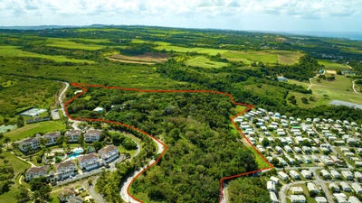 /international/bb/mount-brevitor-land-mount-brevitor-saint-peter-310101105833/?lang=zh-tw