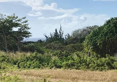 /international/bb/royal-westmoreland-westmoreland-saint-james-310100790890/