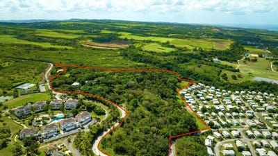 /international/bb/mount-brevitor-saint-peter-310101187410/?lang=zh-tw
