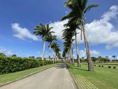 /international/bb/apes-hill-polo-estate-apes-hill-saint-andrew-310100795260/