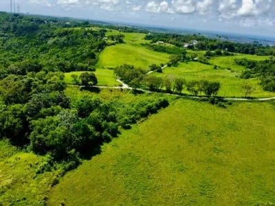 /international/bb/dunscombe-st-thomas-st-thomas-saint-thomas-310106805032/