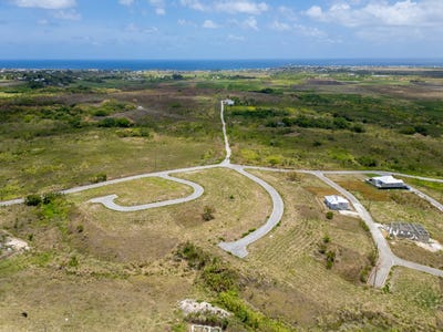 /international/bb/vineyard-development-oughterson-saint-philip-310107523738/