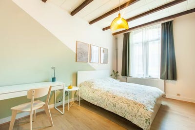 /international/be/rue-gustave-huberti-schaerbeek-brussels-310102891013/