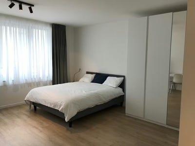 /international/be/rue-du-noyer-brussels-brussels-310104593672/