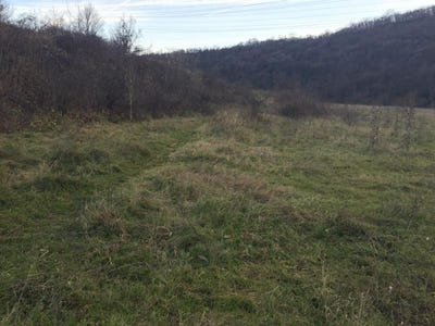 /international/bg/чолаковци-cholakovci-велико-търново-veliko-tarnovo-province-120049131160/?lang=zh-tw