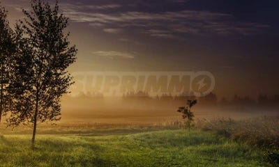 /international/bg/гр-средец-gr-sredec-бургас-burgas-310101845029/