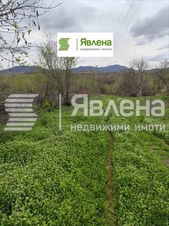 /international/bg/с-дъбравка-s-dabravka-видин-vidin-310108561257/