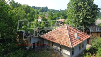 /international/bg/с-куманите-s-kumanite-габрово-gabrovo-310100734099/