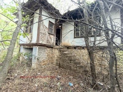 /international/bg/с-буря-s-buria-габрово-gabrovo-310102337505/