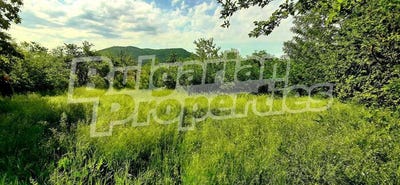 /international/bg/с-дебелец-s-debelec-варна-varna-120076965037/