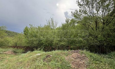 /international/bg/гр-трявна-gr-triavna-габрово-gabrovo-310102037485/