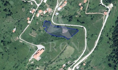 /international/bg/с-гела-s-gela-смолян-smoljan-310105743913/