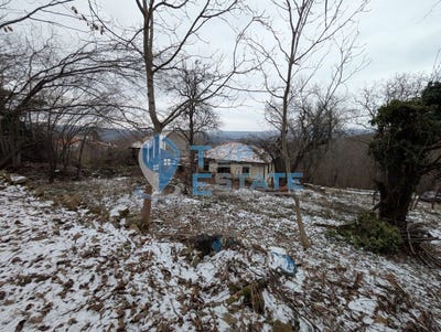 /international/bg/гр-трявна-gr-triavna-габрово-gabrovo-310098291204/