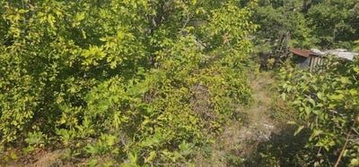 /international/bg/с-петлино-s-petlino-кърджали-kardzhali-province-310095276152/