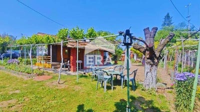 /international/bg/вилна-зона-vilna-zona-търговище-targovishte-province-310101108677/