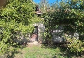 /international/bg/vratsa-montana-310103713946/