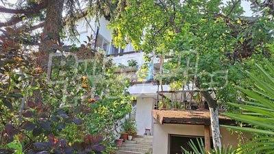 /international/bg/м-т-евксиноград-m-t-evksinograd-варна-varna-310099939904/?lang=en