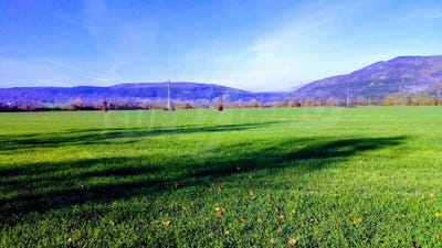 /international/bg/гр-севлиево-gr-sevlievo-габрово-gabrovo-120090258053/