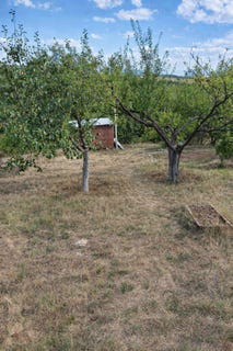 /international/bg/с-радово-s-radovo-перник-pernik-310108560096/